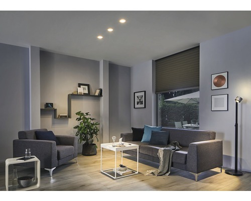 Sufragerie cu canapea, fotoliu, plantă de apartament și corpuri de iluminat pentru tavan