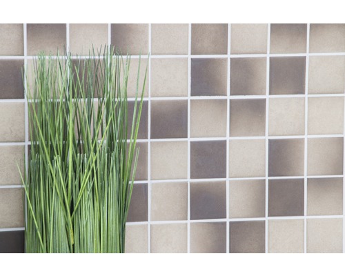 Ierburi verzi decorative în fața unui perete de plăci mozaic ceramice