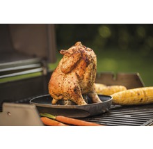 Vas pentru prăjit carne de pui Weber Deluxe