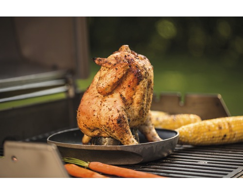 Pui la grătar pe un grătar cu știuleți de porumb și morcovi