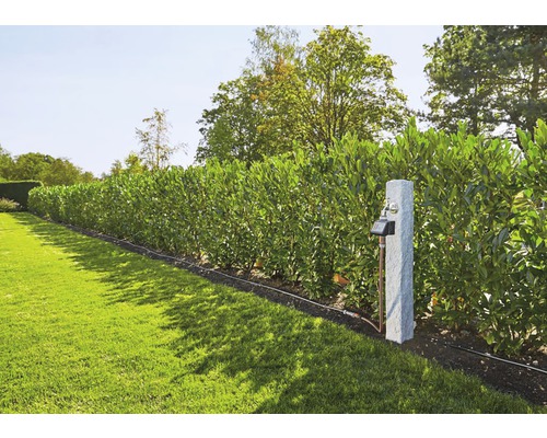 Peisaj de grădină cu spațiu verde, gard viu și punct de prelevare a apei