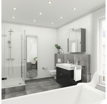 Baie cu duș, dulap sub lavabo, dulap cu oglindă și cadă