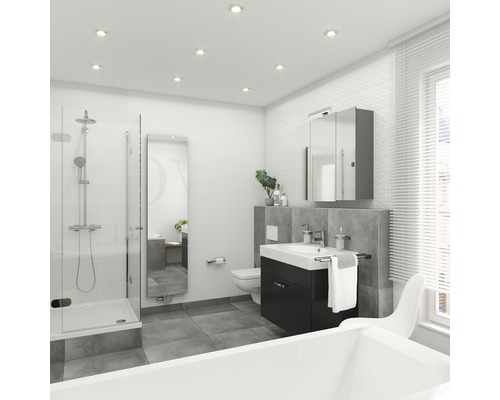 Baie cu duș, dulap sub lavabo, dulap cu oglindă și cadă