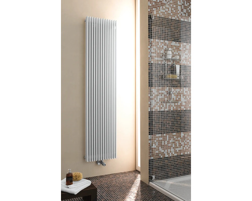 Baie cu calorifer portprosop, duș și gresie mozaic