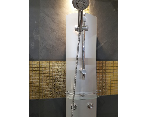 Panou de duș cu duș de mână și raft în baie