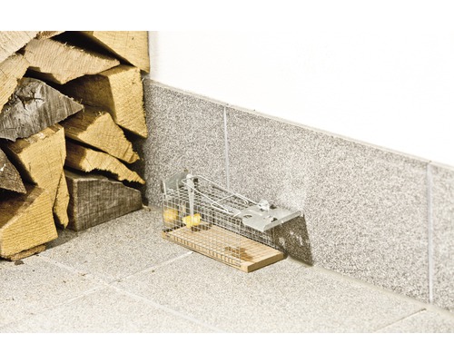 Capcană pentru șoareci din plasă de sârmă cu momeală lângă o grămadă de lemne