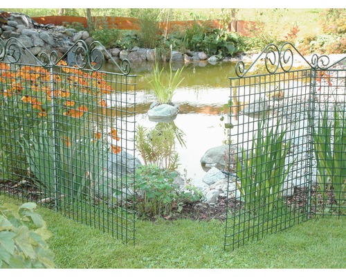 Scenă de grădină cu iaz și gard ornamental verde