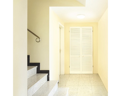 Hol cu scară, ușă albă și plafonieră