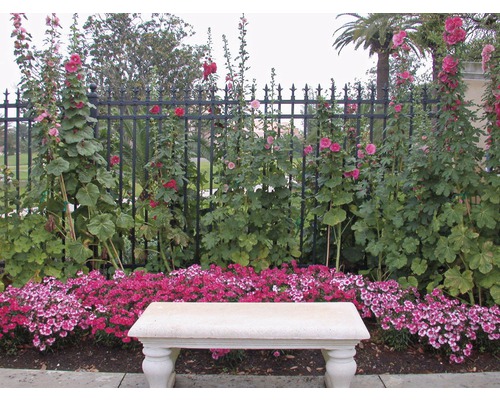 Peisaj de grădină cu bancă, flori și gard