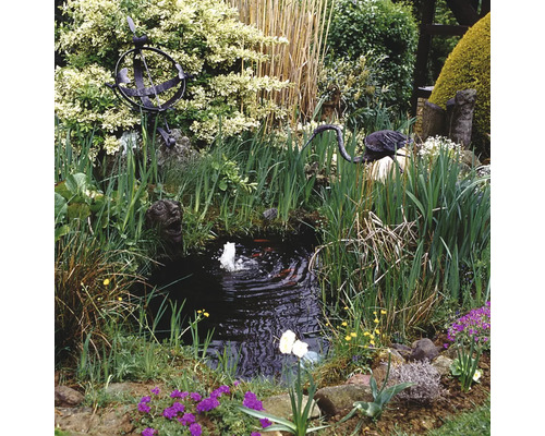 Lac cu fântână arteziană, plante ornamentale și decorațiuni în grădină