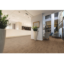 Interior cu pardoseală aspect lemn, plante și mobilier de ședere