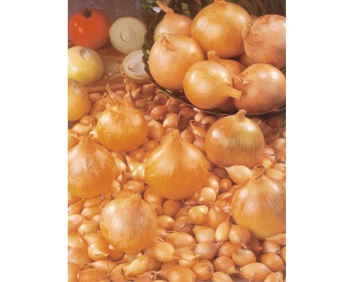 Cepe și semințe de ceapă pe o grămadă