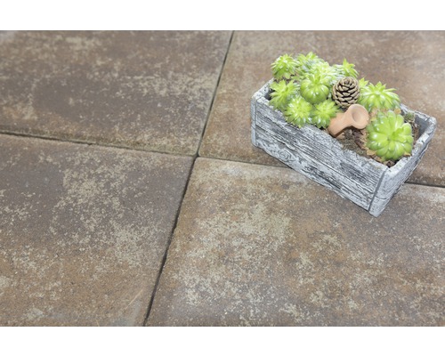 Dale de beton cu jardiniere