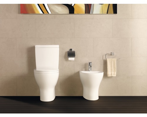 Baie modernă cu toaletă și bideu pentru designul băii