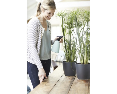 Femeie pulverizând plante de interior în ghivece cu un pulverizator pe o masă de lemn