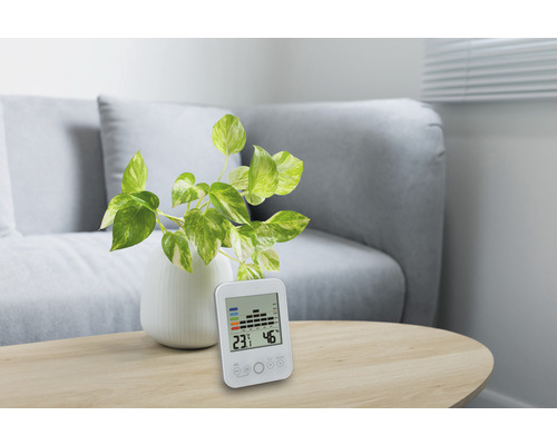 Termometru digital și higrometru pe o masă cu o plantă de interior.