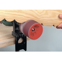 Tambur pentru șlefuire Wolfcraft Ø75mm x 80mm, incl. 1 bandă abrazivă