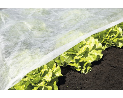 Strat de legume cu folie de protecție