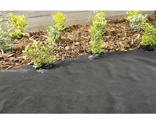 Scenă de grădină cu folie anti-buruieni și plante în stratul de flori