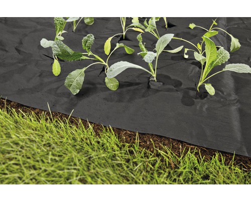 Grădină cu folie de mulcire și plante