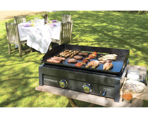 Grătar CampIngaz cu carne, frigărui și pește pe o masă în grădină