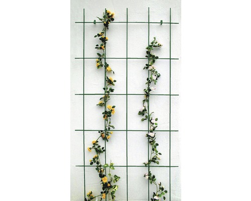 Spalier drept, 75x150 cm, verde Spalier drept, 75x150 cm, verde