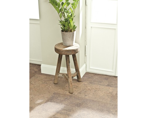 Plantă de interior decorativă în ghiveci pe un taburet rustic din lemn pe podea de plută