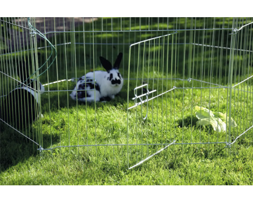 Iepuri într-un țarc exterior pe un gazon