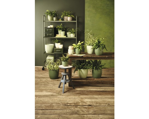 Mască pentru flori Soendgen Basel Fashion, ceramică, Ø | HORNBACH