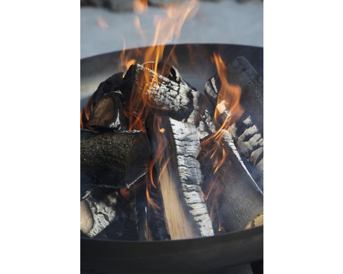 Lemne de foc într-un vas de foc cu flăcări