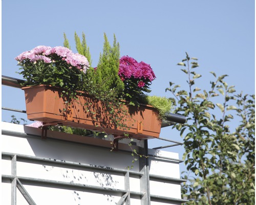 Jardinieră cu diverse plante și flori pe un balcon