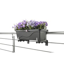 Jardinieră pentru fixare pe o balustradă cu flori mov