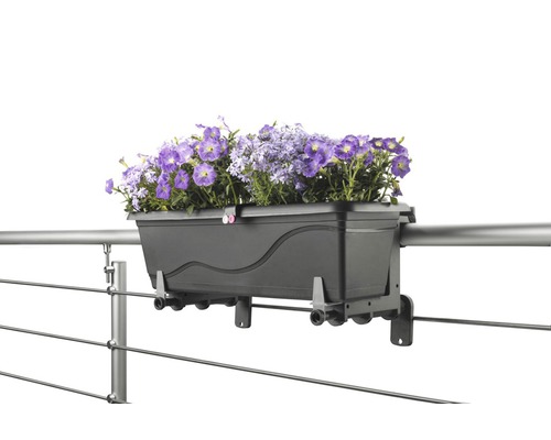 Jardinieră pentru fixare pe o balustradă cu flori mov