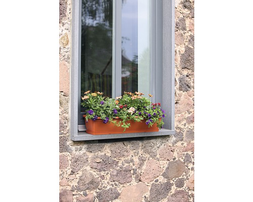 Jardinieră cu flori înflorite la fereastră