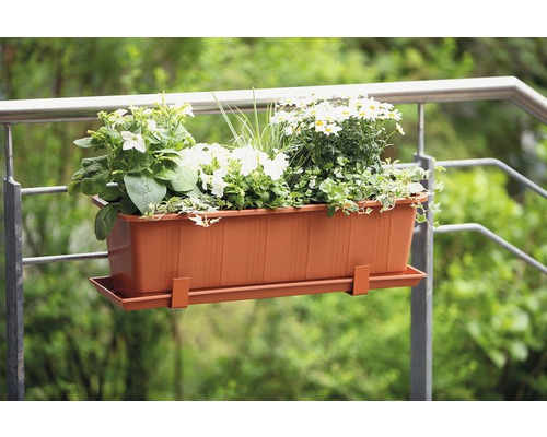 Jardinieră din plastic cu suport și diverse plante pe o balustradă de balcon