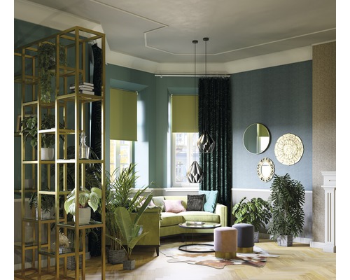 Cameră de zi cu canapea, jaluzele, decorațiuni și plante