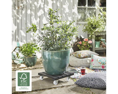 Suport cu rotile pentru flori cu o plantă în exterior cu sigiliul FSC