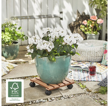 Cărucior de flori din lemn cu roți și ghiveci de flori în aer liber