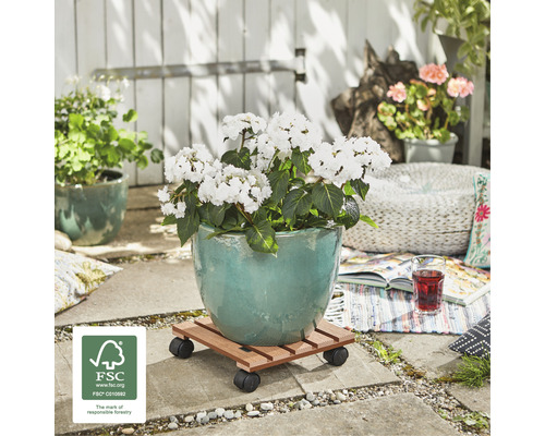 Cărucior de flori din lemn cu roți și ghiveci de flori în aer liber