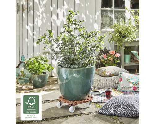 Scenă cu ghiveci plantat pe suport cu role în grădină și sigiliu FSC