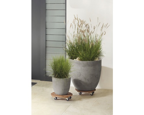 Două jardiniere din beton plantate pe cărucioare cu rotile din lemn, în aer liber.