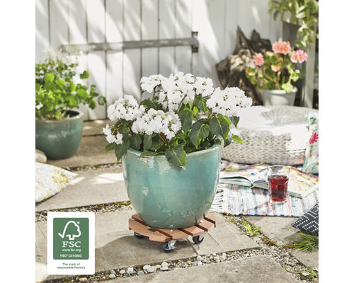 Scenă cu ghiveci de flori pe o placă cu rotile cu sigiliul FSC în grădină.