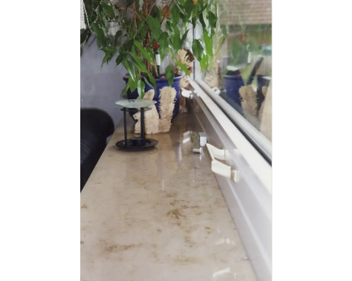 Interior cu plantă de apartament în ghiveci și fereastră