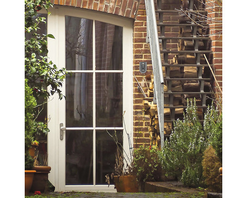 Exterior cu ușă, scară și plante în fața unui zid de cărămidă