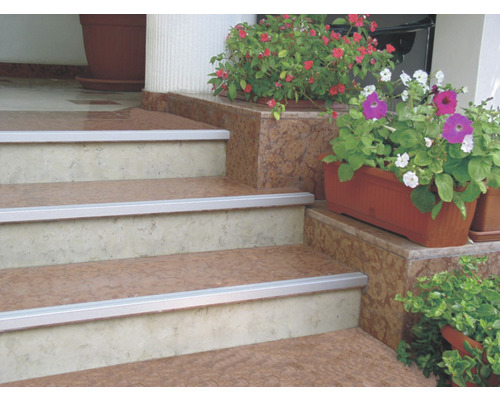 Scară cu profile pentru muchii de treaptă și plante