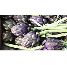 Prim-plan cu anghinare cu tulpină