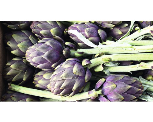 Prim-plan cu anghinare cu tulpină