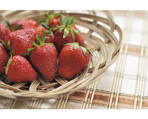 Căpșuni într-un coș