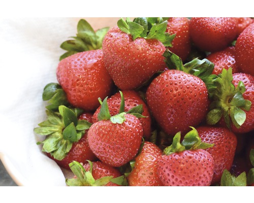 Prim-plan cu căpșuni proaspete