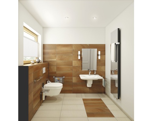 Baie cu toaletă, lavoar, oglindă, calorifer portprosop și faianță